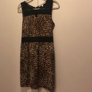 Collective Concepts cheetah zipper back dress